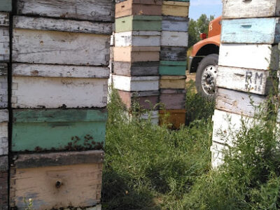 Montana Honey Inc