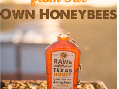 Desert Creek Honey