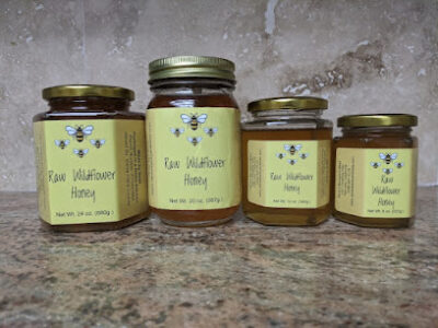 Dave's Backyard Bees