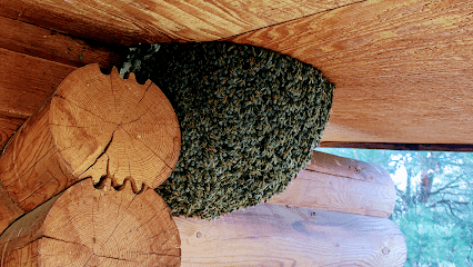 Fields of Natural Honey
