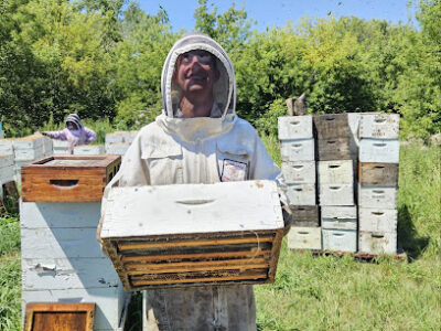 Browning Honey
