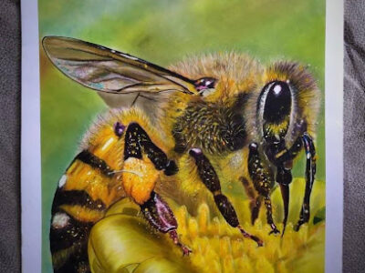 The Happy Hive Roseville