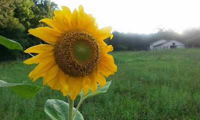 Rock Creek Farm & Honey