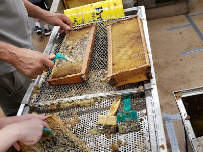 Aspen Ridge Honey Farm