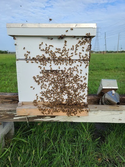 Renegade Bee Company LLC