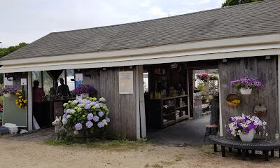 The Farm