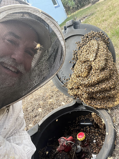 The Other Bee Guy Bee Removal & Apiary