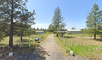Millers Homestead