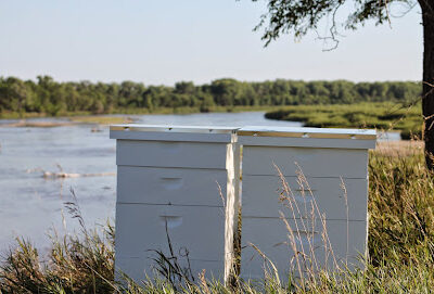 Prairie River Honey Farm