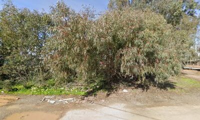 Forbis Apiaries & Queen Bees