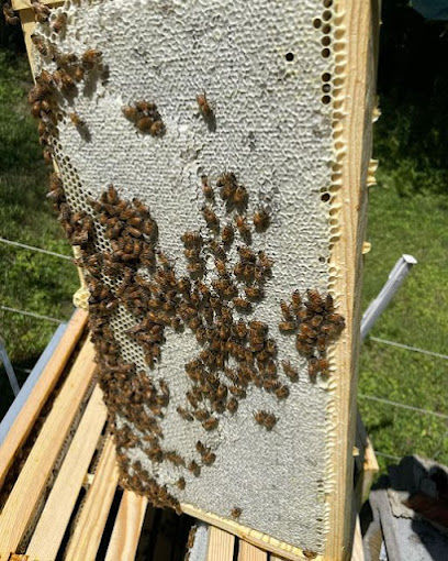 Middle Creek Honey