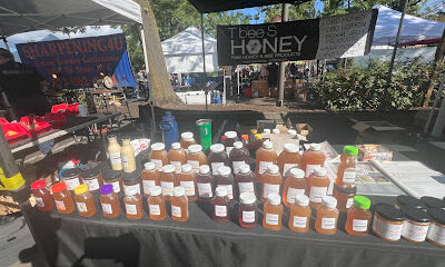 T Bee S Honey Llc