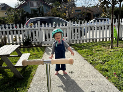 Santa Cruz Honey Bee Removal