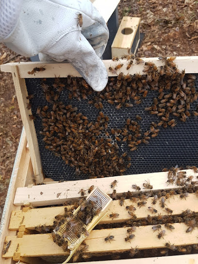 Gee's Bees
