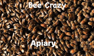 Bee crazy Apiary