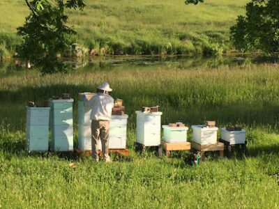 Just Iowa Honey