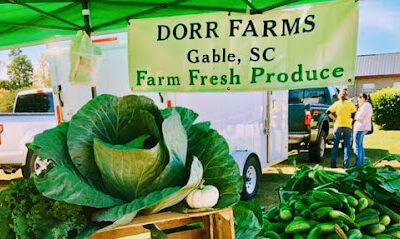 Dorr Farms