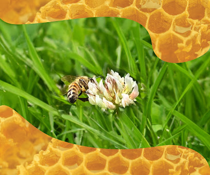 Craz-E-Bees