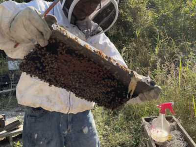 Tom's Honey Farm LLC