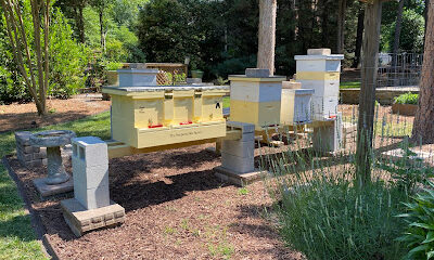 The Pampered Bee Apiary