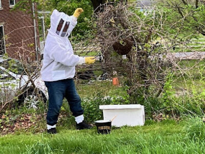 BeeHappy BeeAlive LLC
