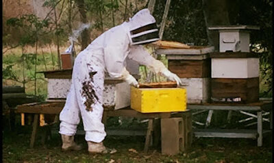 Bubba's Bee Company
