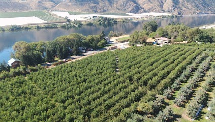 Allview Orchards