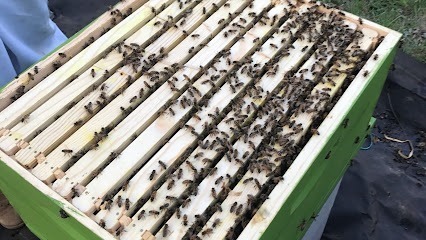 McB's Bees