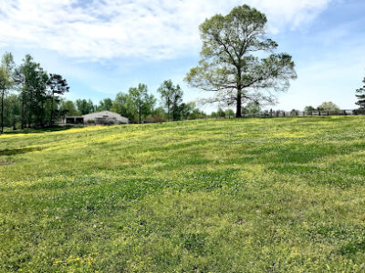 Wild Flora Farm