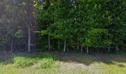 Hickory Hills Apiary