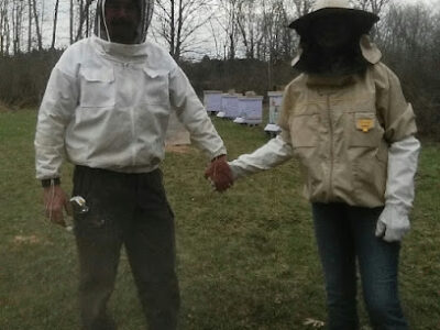 Deb Bees Honey Hive & microgreens