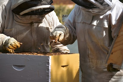 Two Chicks Apiary