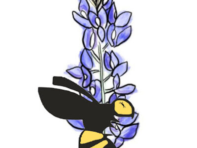 Bluebonnet Apiary