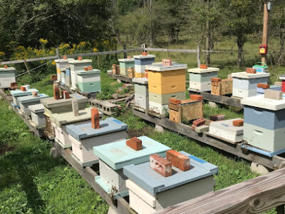 Chautauqua Apiary