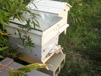 Michigoddess Apiary
