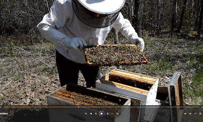 Hood Brook Apiary