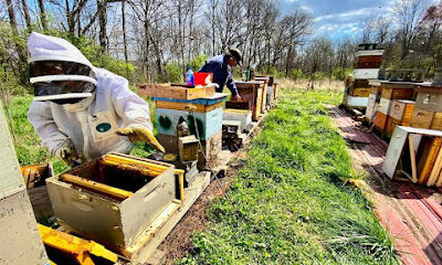 Save Your Bees