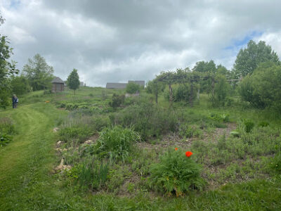 Spikenard Farm, Inc