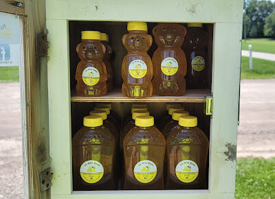 33 Mile Bees