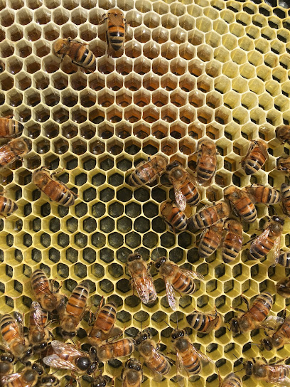 Maui Beekeeper