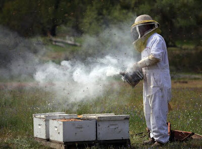 Ferreira Homestead and Apiary