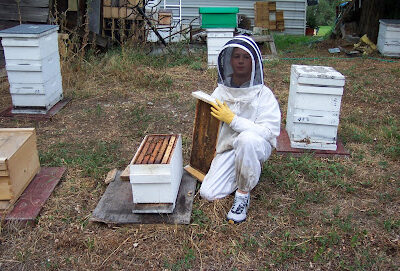 Tate's Honey Farm