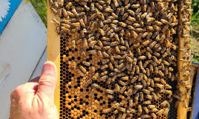 Spencer's Apiaries, LLC. (Located inside Rebekah's Health and Nutrition Source)