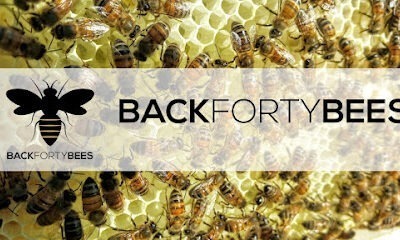 Back Forty Bees