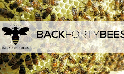 Back Forty Bees