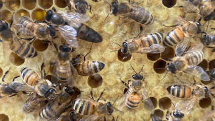 Talbot Hive and Honey