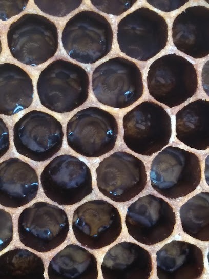 The Lake Orion Honey Company