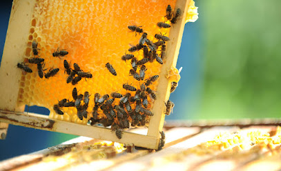 Breezy Hill Honey