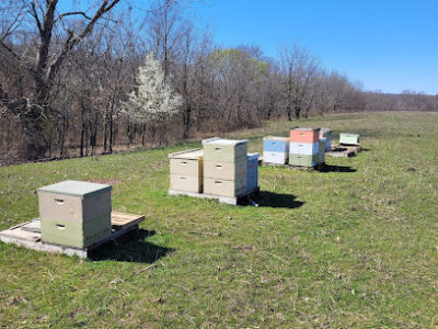 RJS Bee Farm