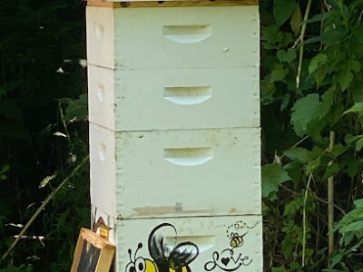 The S&S Bee Company